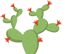 La Misión de Zacatecas nopal